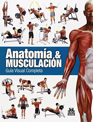 Anatomía & Musculación