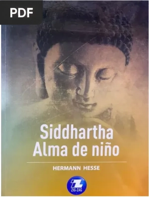 Portada de Alma de Niño