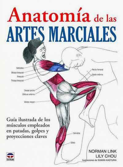 Anatomía de las Artes Marciales