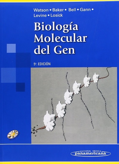 Biologia molecular del gen