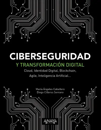 Ciberseguridad y transformación digital