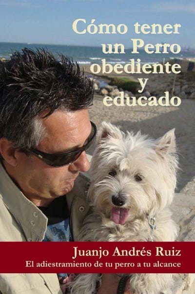 Como tener un perro obediente y educado