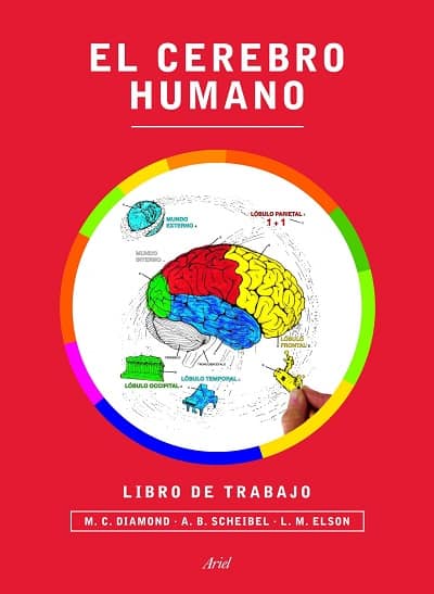 El cerebro humano Libro de trabajo