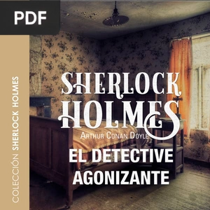 Portada de El Detective Agonizante