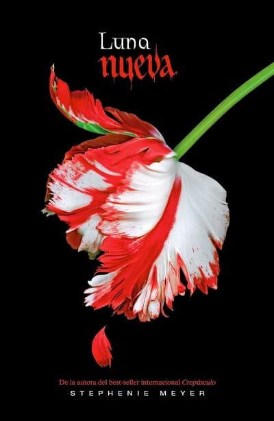 luna nueva