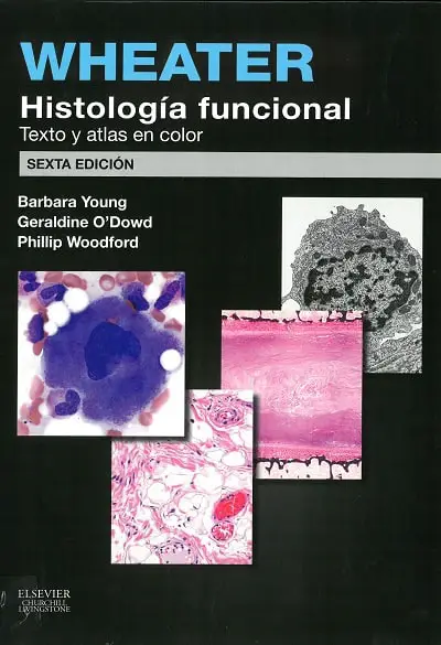 Wheater Histología Funcional