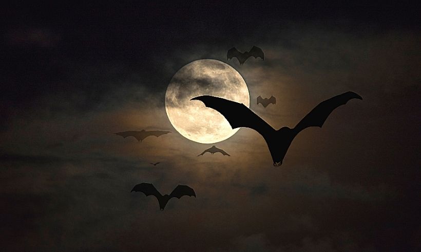 Objetivos-del-Romance