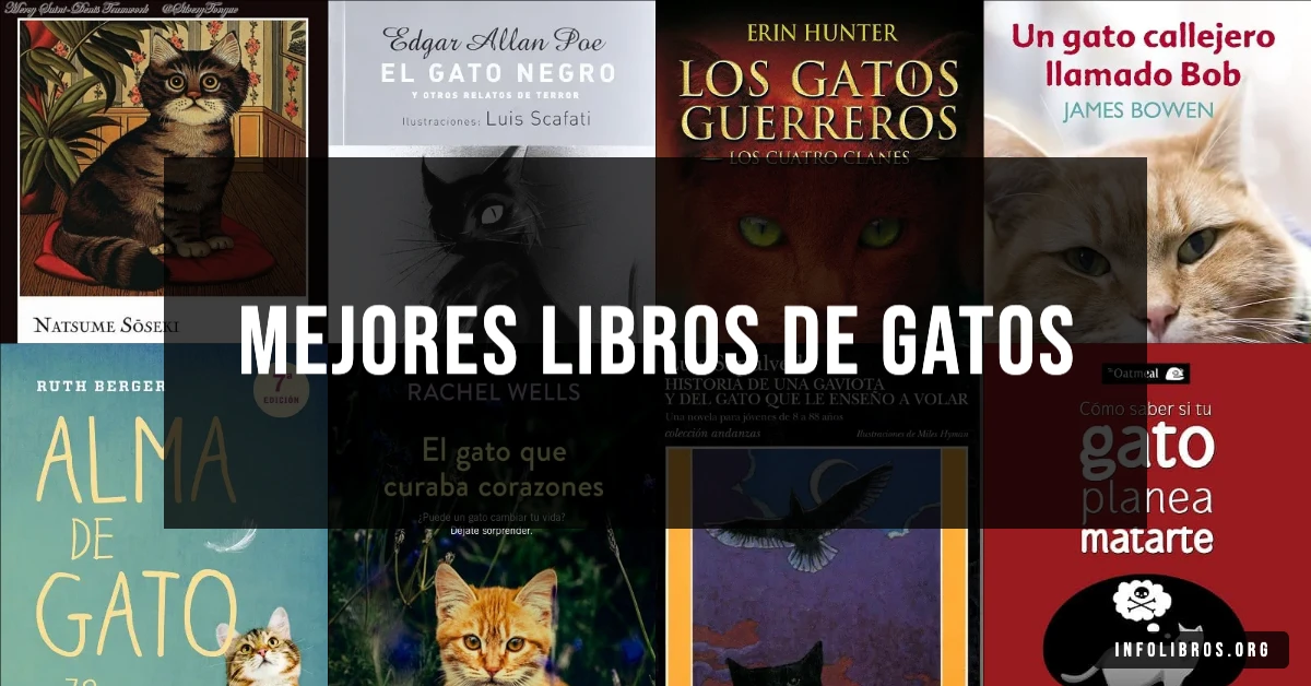 15 libros de gatos recomendados para amantes de los felinos.