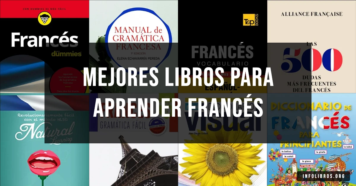 10 libros recomendados para aprender francés.