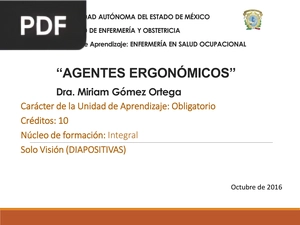 Agentes ergonómicos (Presentación)