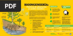 Bioingeniería: Prácticas de adaptación al cambio climático (Artículo)