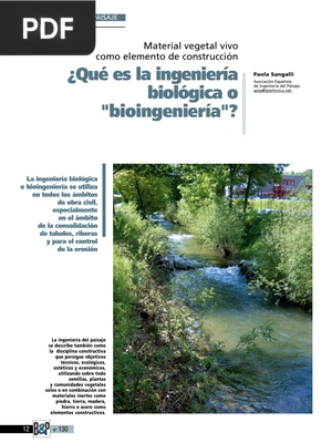 ¿Qué es la ingeniería biológica o bioingeniería? (Artículo)
