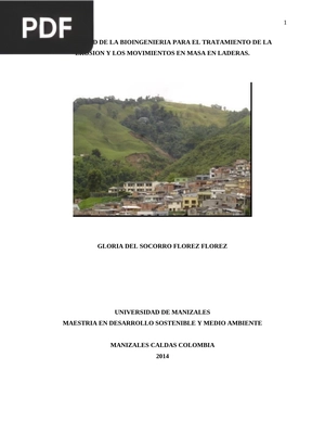 Efectividad de la bioingeniería para el tratamiento de la erosión y los movimientos en masa en laderas