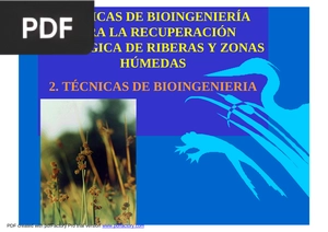 Técnicas de bioingeniería para la recuperación ecológica de Riberas y zonas húmedas (Presentación)