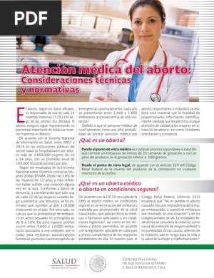 Atención médica del aborto: Consideraciones técnicas y normativas (Artículo)