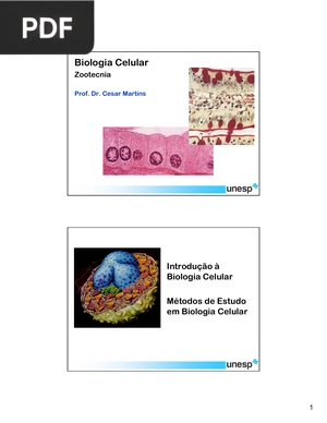 Biologia Celular (Portugués) (Presentación)