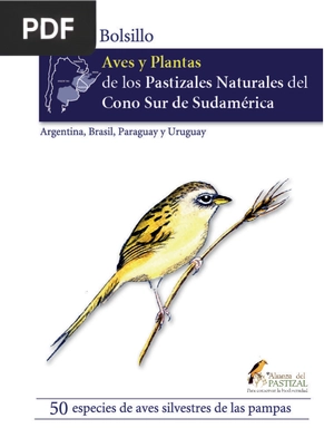 Para Aves y Plantas de los Pastizales Naturales del Cono Sur de Sudamérica