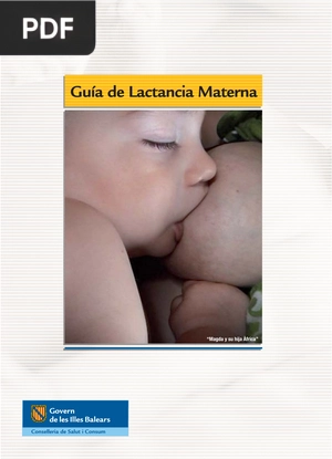 Guia de lactancia materna