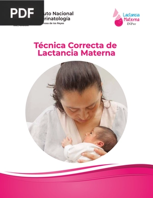 Técnica Correcta de Lactancia Materna (Articulo)