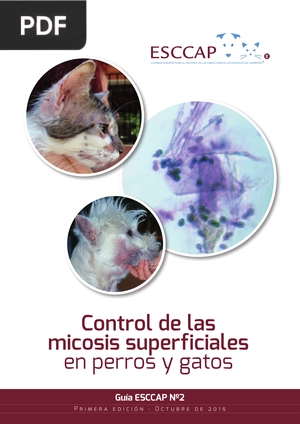 Control de las micosis superficiales en perros y gatos