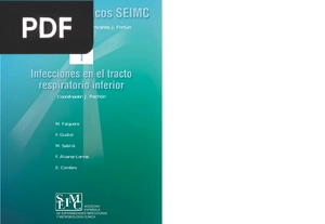 Infecciones en el tracto respiratorio inferior