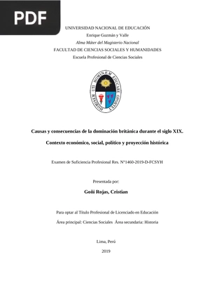 Causas y consecuencias de la dominación británica durante el siglo XIX. Contexto económico, social, político y proyección histórica