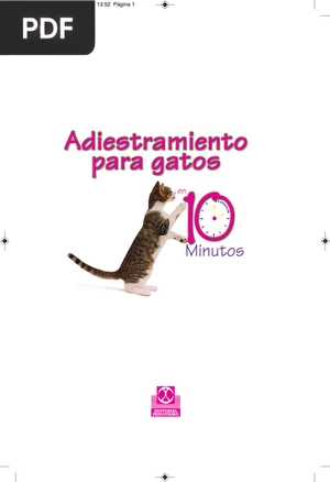 Adiestramiento para Gatos