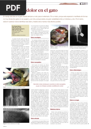 Manejo del dolor en el gato (Artículo)