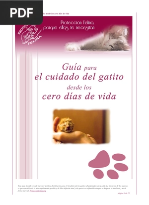 Guía para el cuidado del gatito desde los cero días de vida