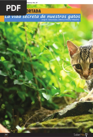 La vida secreta de nuestros gatos (Artículo)