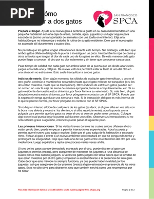Gatos: Cómo presentar a dos gatos (Artículo)