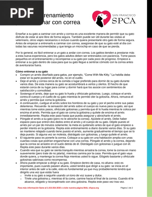 Gatos: Entrenamiento para caminar con correa