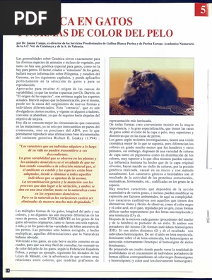 Genetica en Gatos y Normas de Color del Pelo (Artículo)