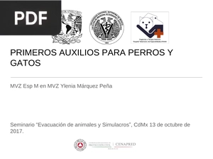 Primeros Auxilios para Perros y Gatos