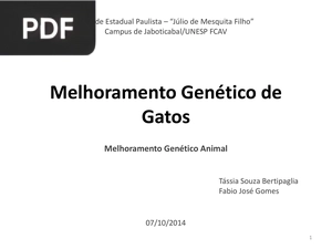 Melhoramento Genético de Gatos (Portugués)
