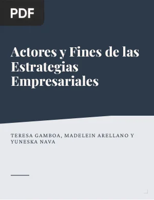 Actores y Fines de las Estrategias Empresariales: Una reflexión desde las pequeñas y medianas empresas