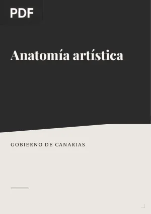 Anatomía artística