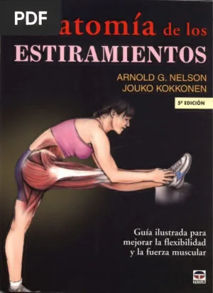 Anatomía de los Estiramientos