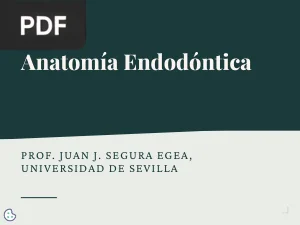 Anatomía Endodóntica