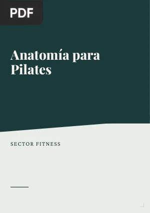 Anatomía para Pilates