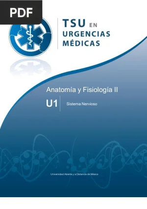 Anatomía y Fisiología II: Sistema Nervioso