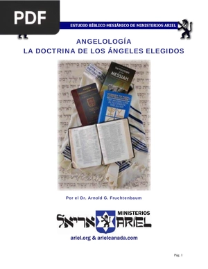 Angelología. La doctrina de los ángeles elegidos