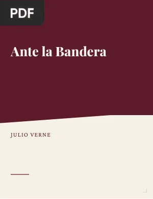 Ante la Bandera