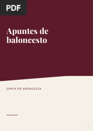 Apuntes de baloncesto