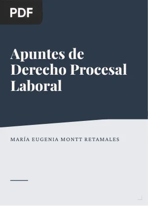 Apuntes de Derecho Procesal Laboral