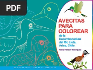 Avecitas para colorear