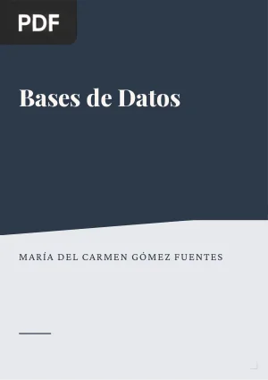 Bases de Datos