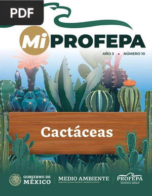 Cactáceas