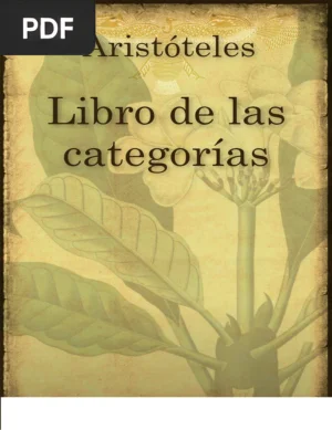 Categorías