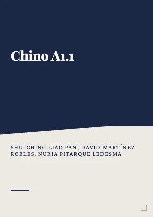 Chino A1.1